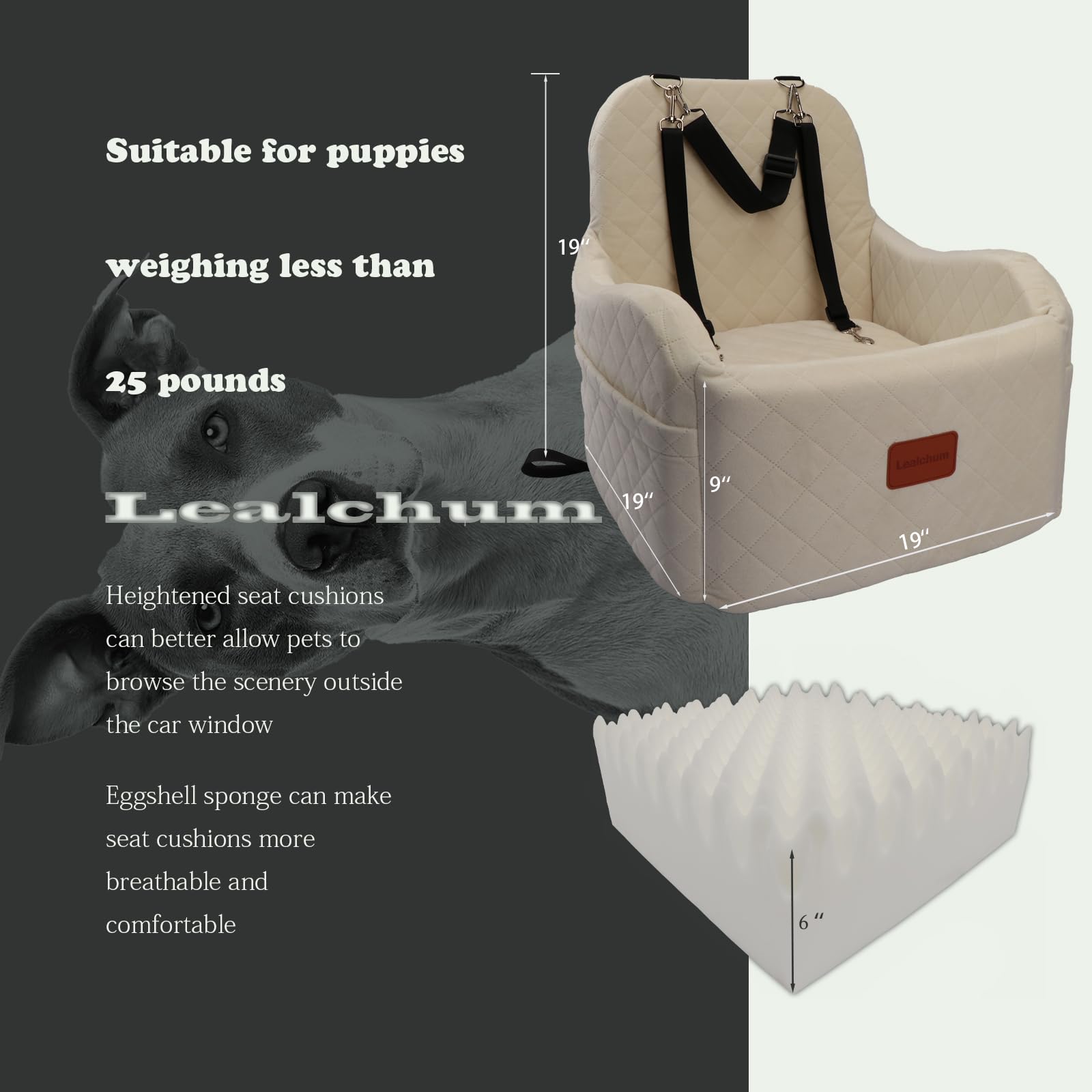 Lealchum base antideslizante mantiene estable al perro durante el trayecto.