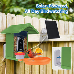 Leapbird alertas en tiempo real notifican llegadas de aves.