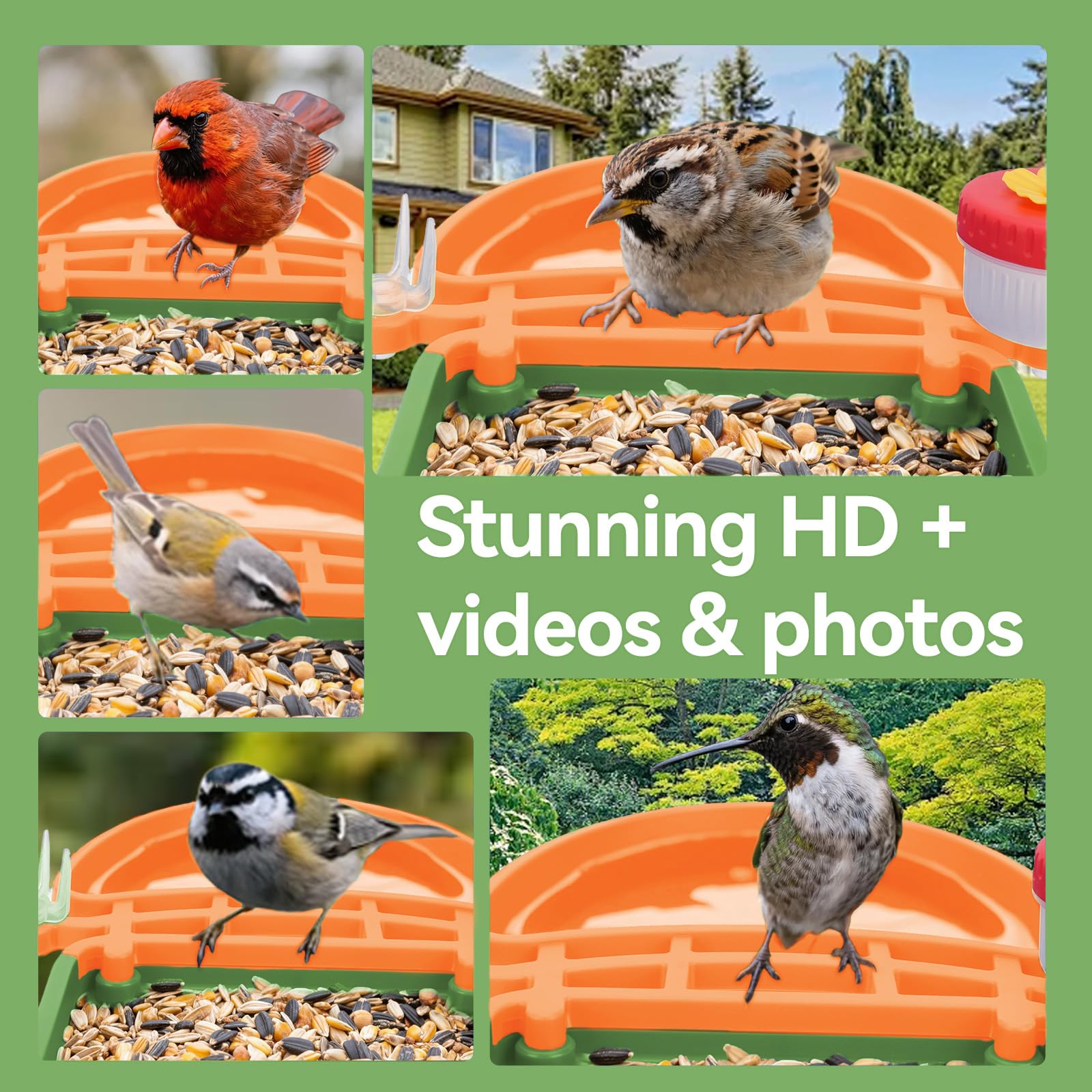 Leapbird almacenamiento en nube o SD para conservar clips.
