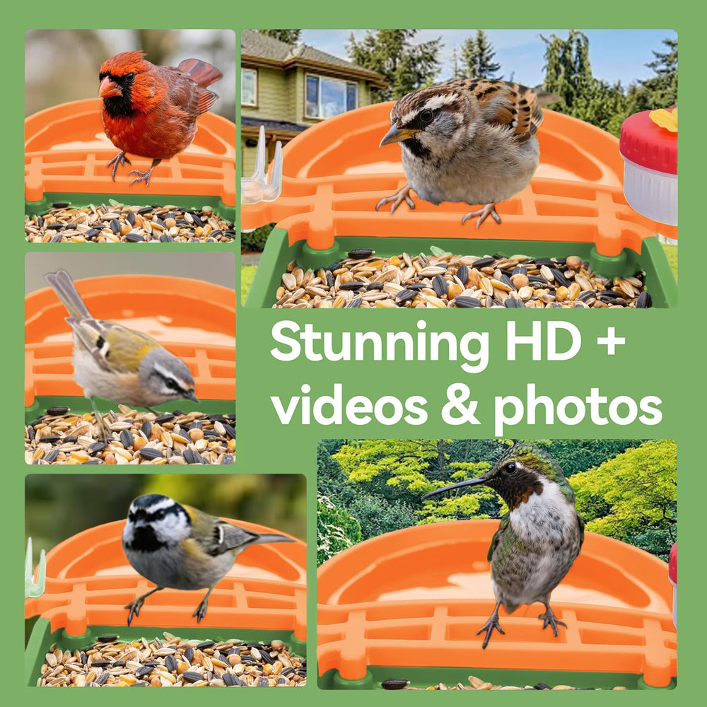 Leapbird almacenamiento en nube o SD para conservar clips.