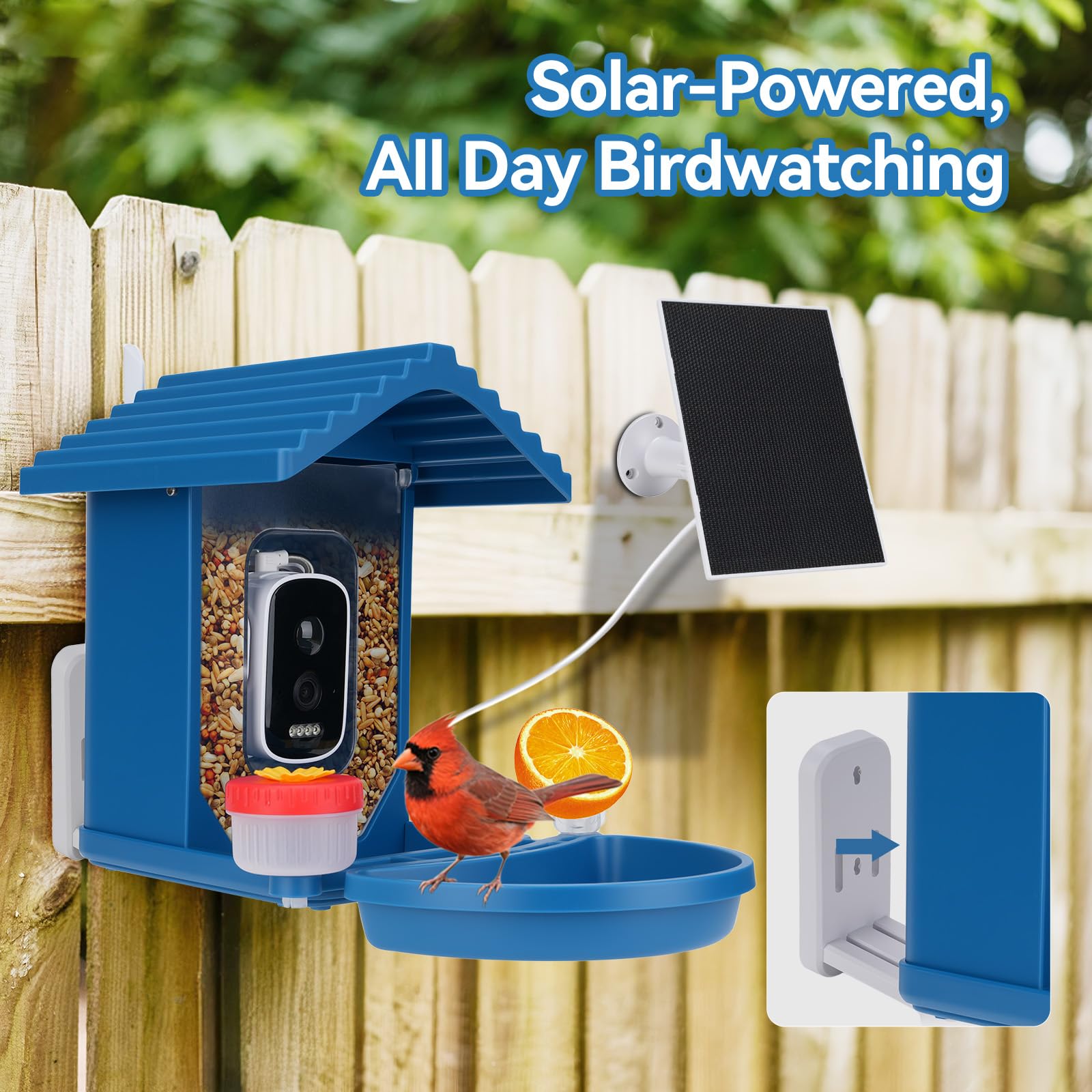 Vista en vivo 2.5K con Leapbird para ver aves con detalle.