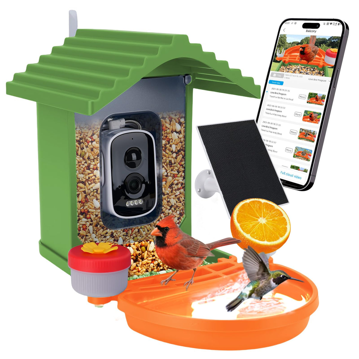 Leapbird comedero-aves con cámara 2.5K captura visitantes desde casa.