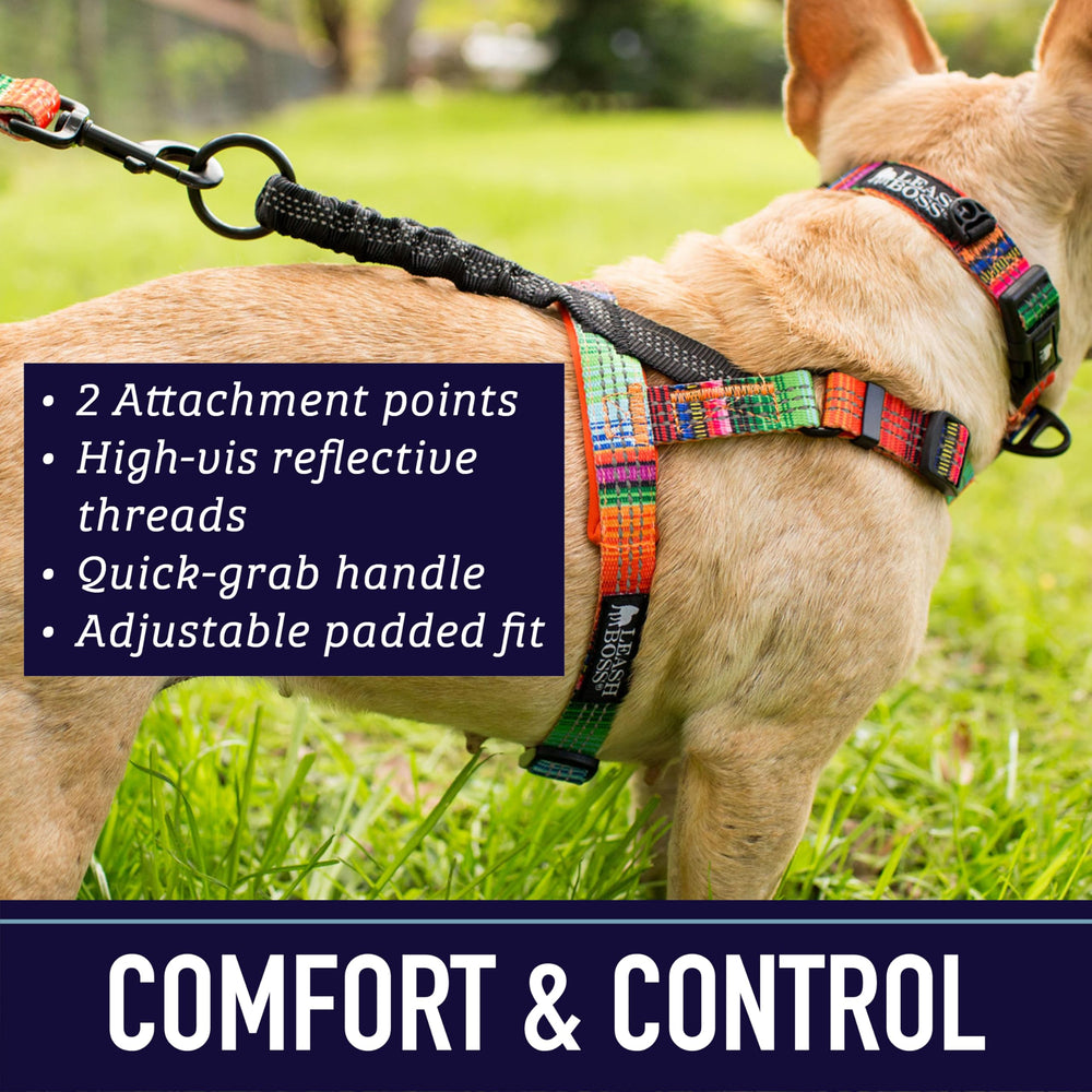 Clip bungee trasero en Leash Boss, absorbe tirones durante juegos al aire libre.