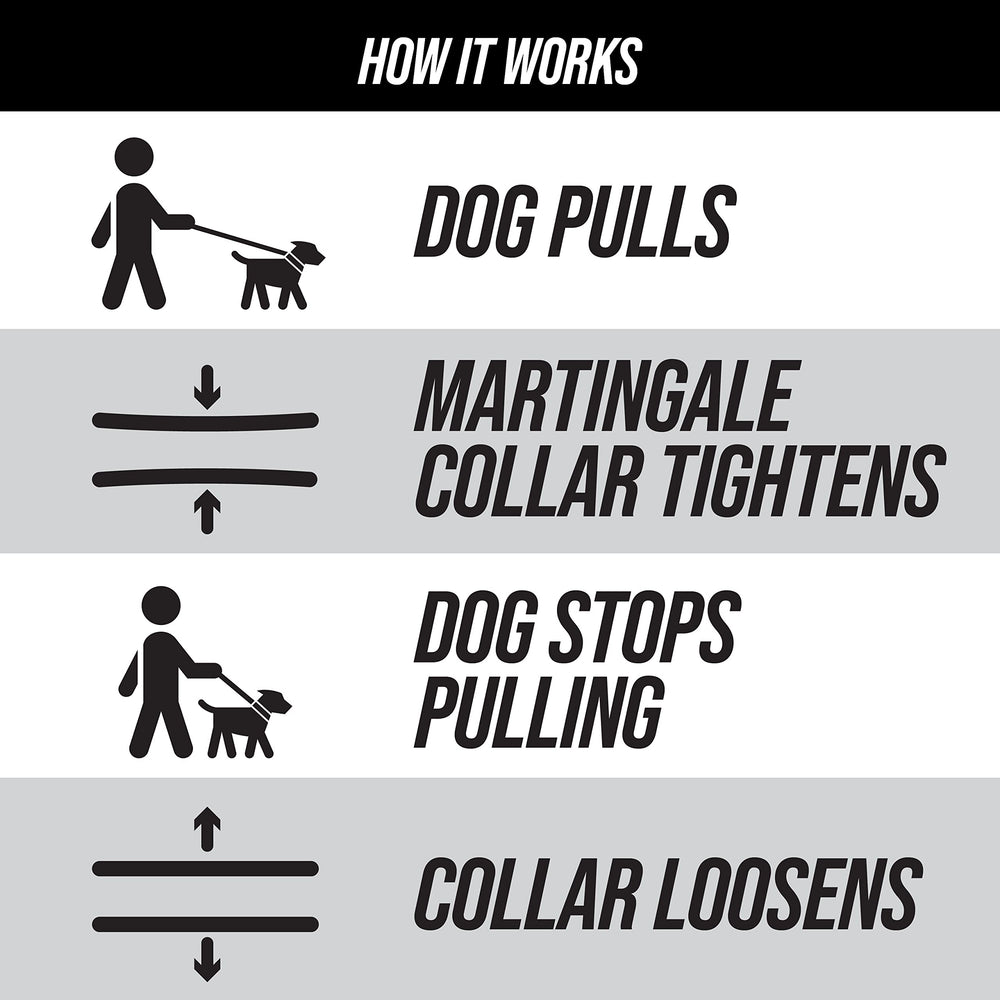 Anilla de identificación en el collar Leash Boss martingale para información.
