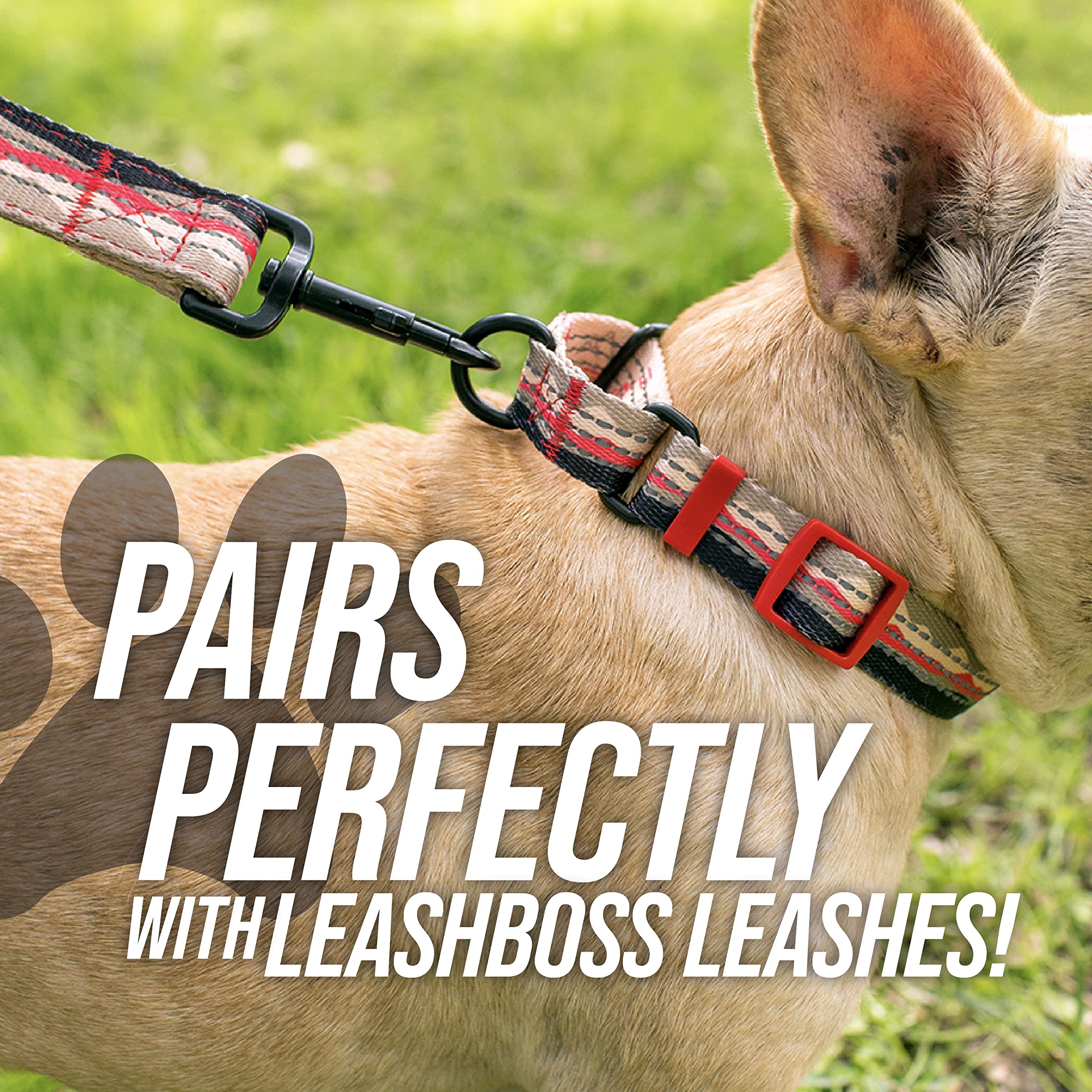Conjunto de accesorios compatibles con Leash Boss para completar el look.