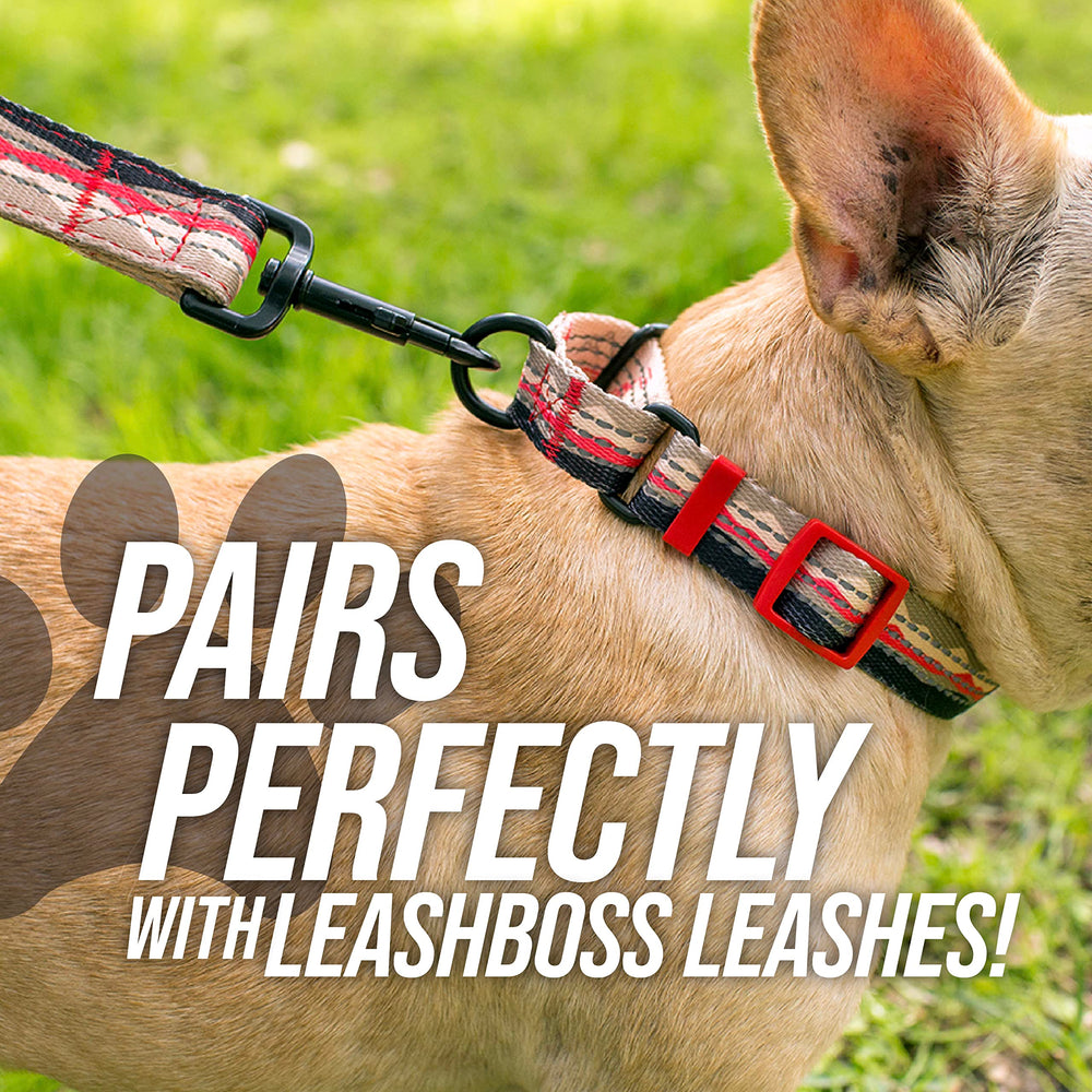 Conjunto de accesorios compatibles con Leash Boss para completar el look.