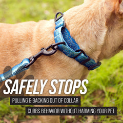 Múltiples puntos de sujeción en el collar Leash Boss martingale para versatilidad.