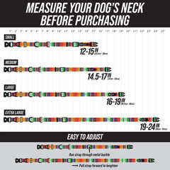 Hebilla de liberación rápida en el collar Leash Boss para ajustes fáciles.