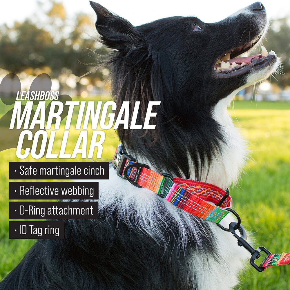 Interior de poliéster suave en el collar Leash Boss para comodidad.