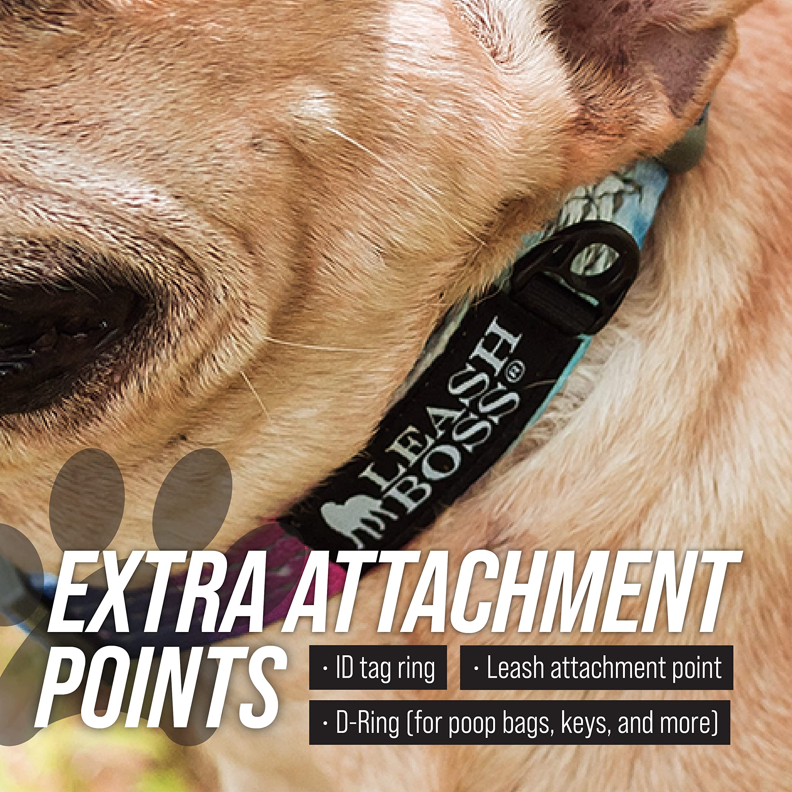 Collar Leash Boss martingale ideal para paseos diurnos y nocturnos.