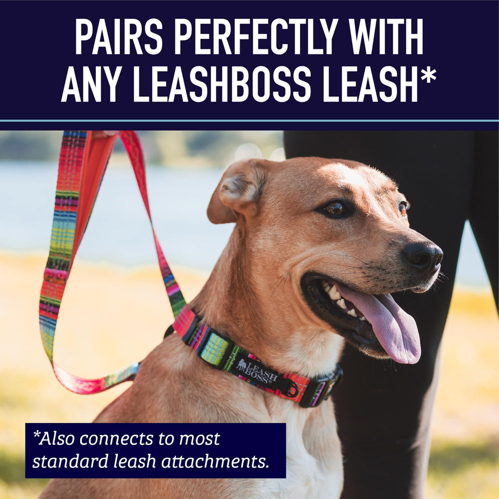 Leash Boss conjunto collar martingale y correa para estilo y seguridad