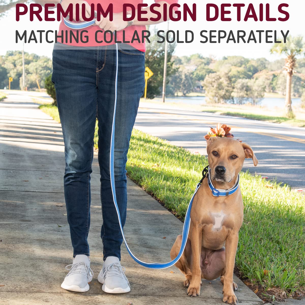 Leash Boss, diseño elegante para coordinar accesorios.