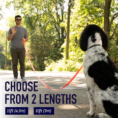 Leash Boss dispensador de bolsas, solución rápida para salidas al exterior.