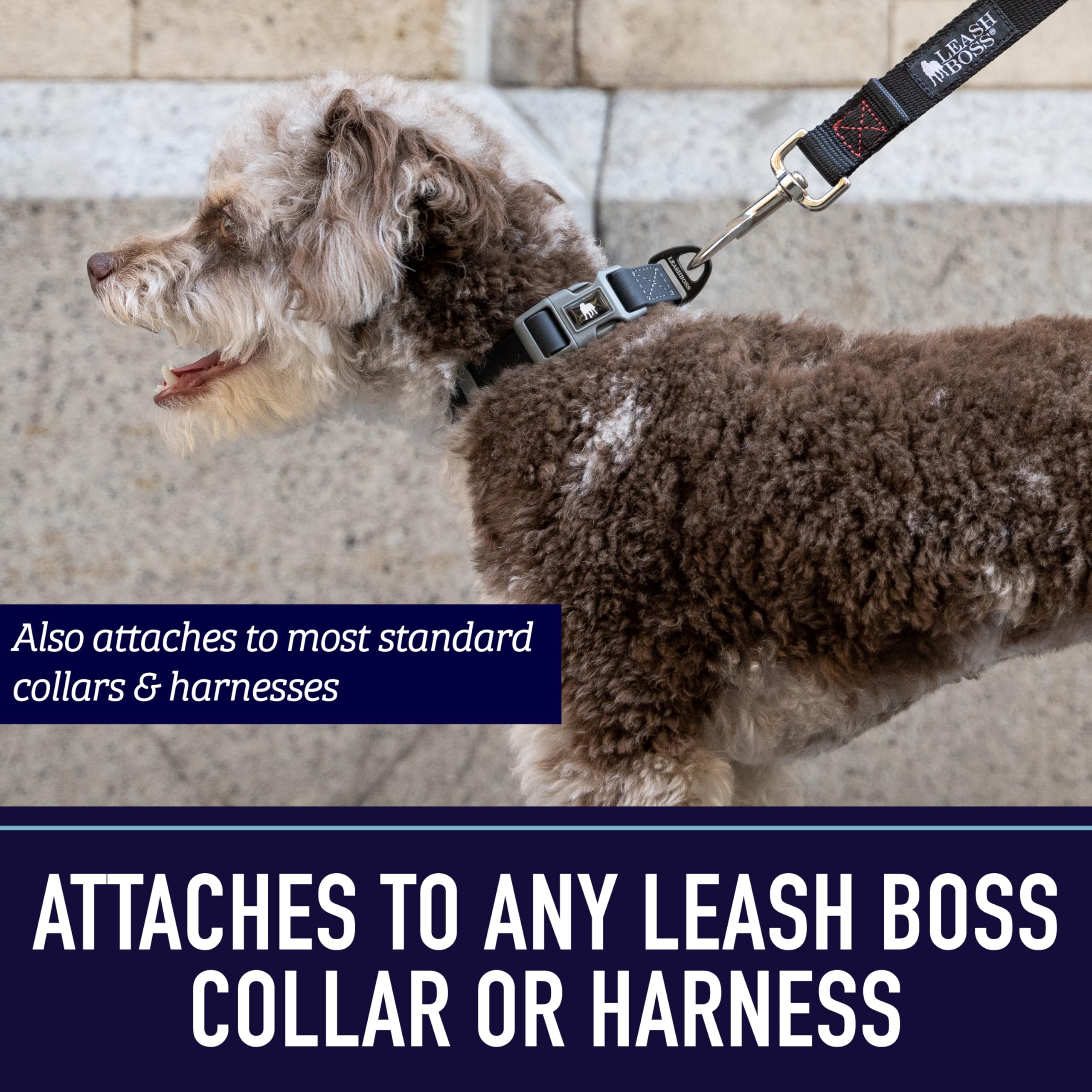 Leash Boss ensamblaje en Estados Unidos, calidad perceptible en cada detalle.