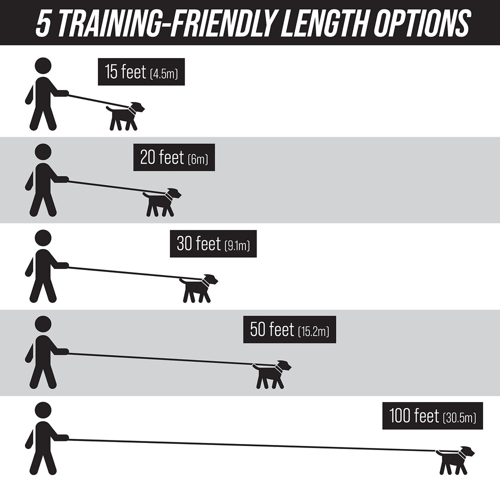 Leash Boss Free Range para perros grandes en entrenamiento y juego.