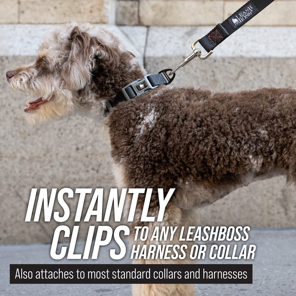 Paseo y senderismo con Leash Boss Free Range.