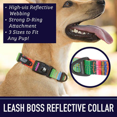 Leash Boss con hilos reflectivos triples para paseos nocturnos más visibles