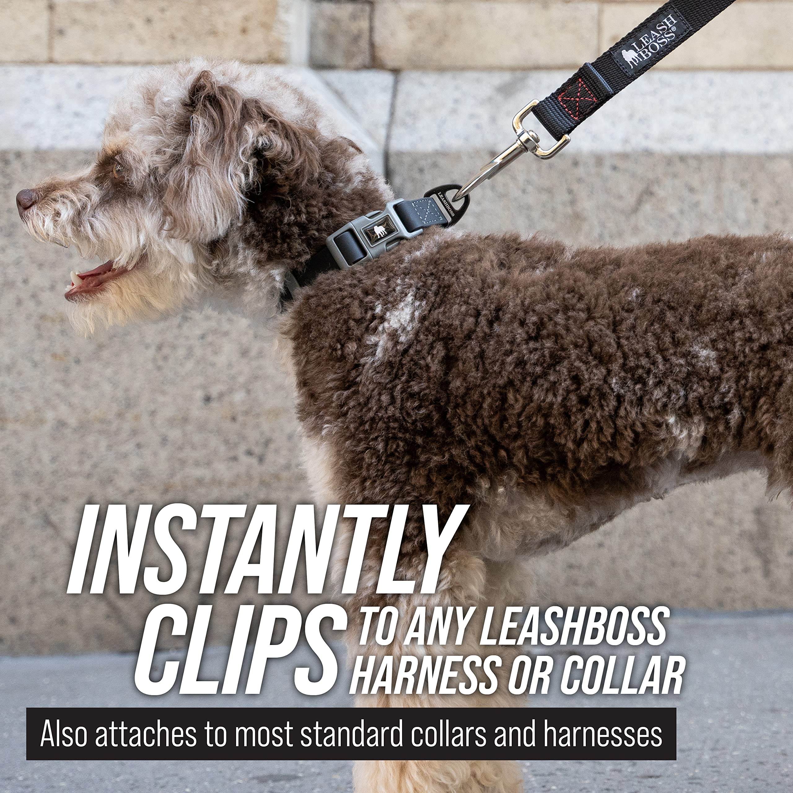 Leash Boss Long Trainer: uso versátil para exteriores.