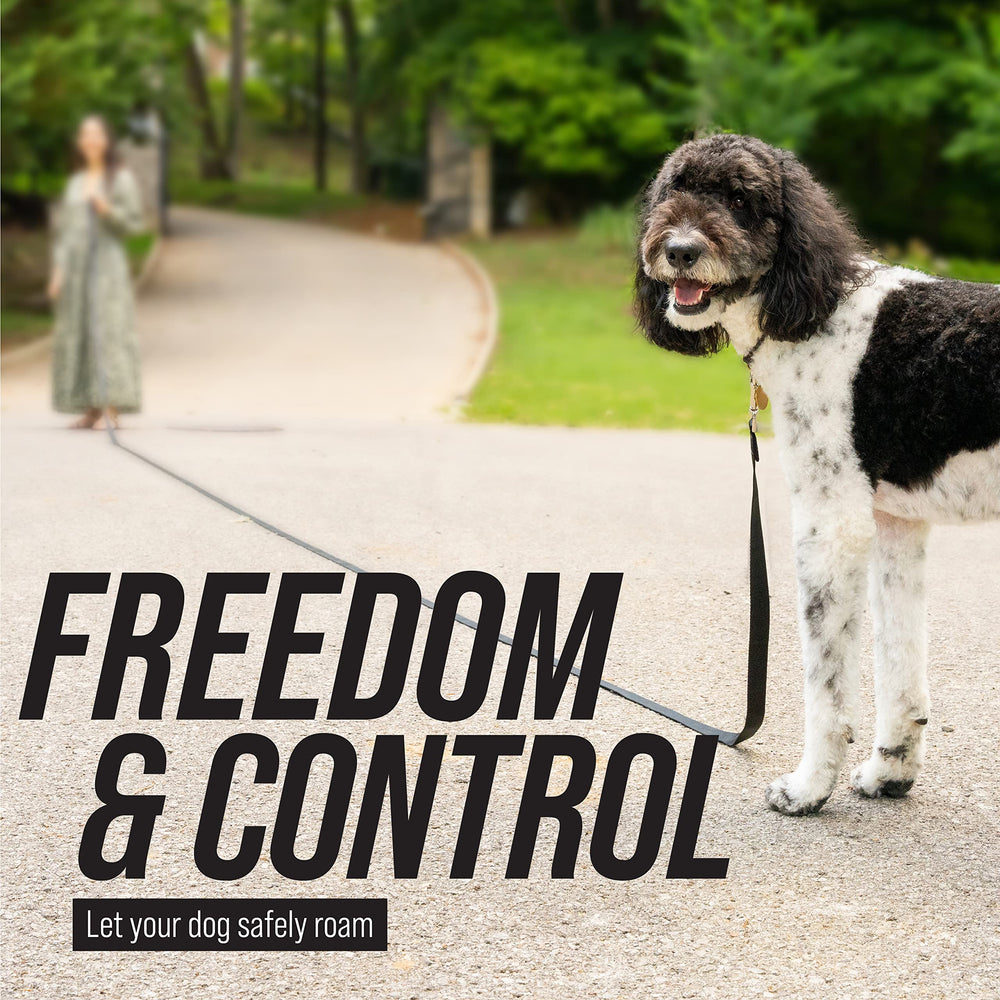 Leash Boss Long Trainer: gancho giratorio para evitar giros.