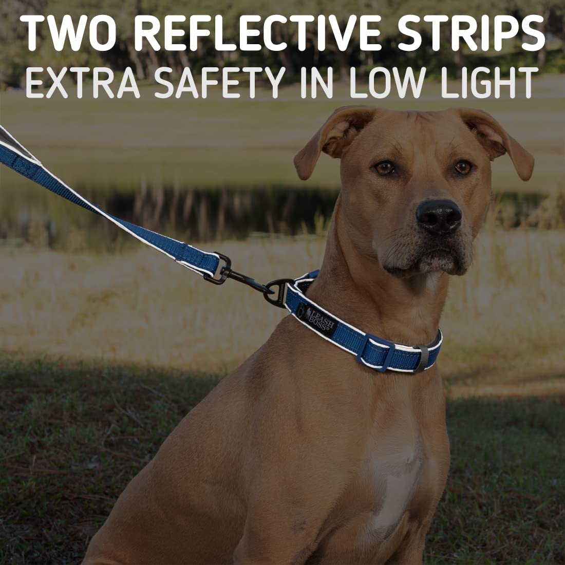 Leash Boss, correa reflectante para mayor visibilidad nocturna.