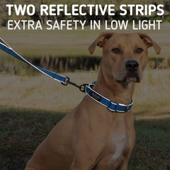 Leash Boss, correa reflectante para mayor visibilidad nocturna.