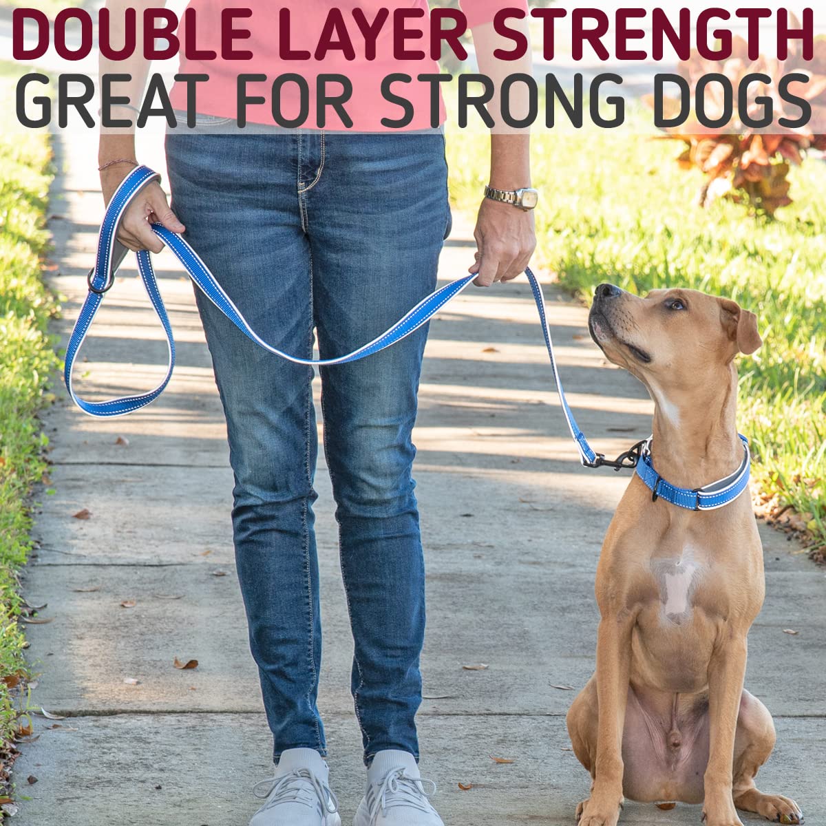 Leash Boss, correa segura para uso diurno y nocturno.