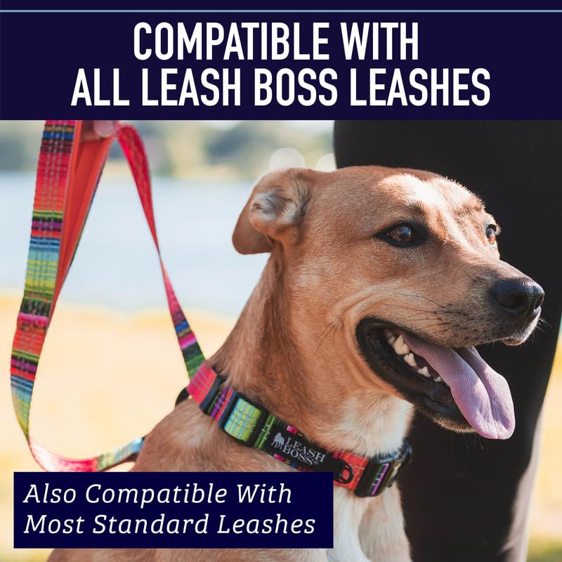 Leash Boss collar para aventuras diarias con seguridad y estilo