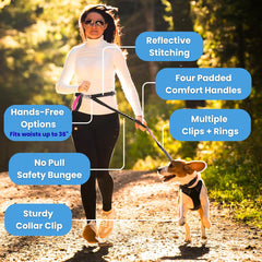 Leashrr 2.0, bungee-amortiguado, absorbe impactos para paseos estables.