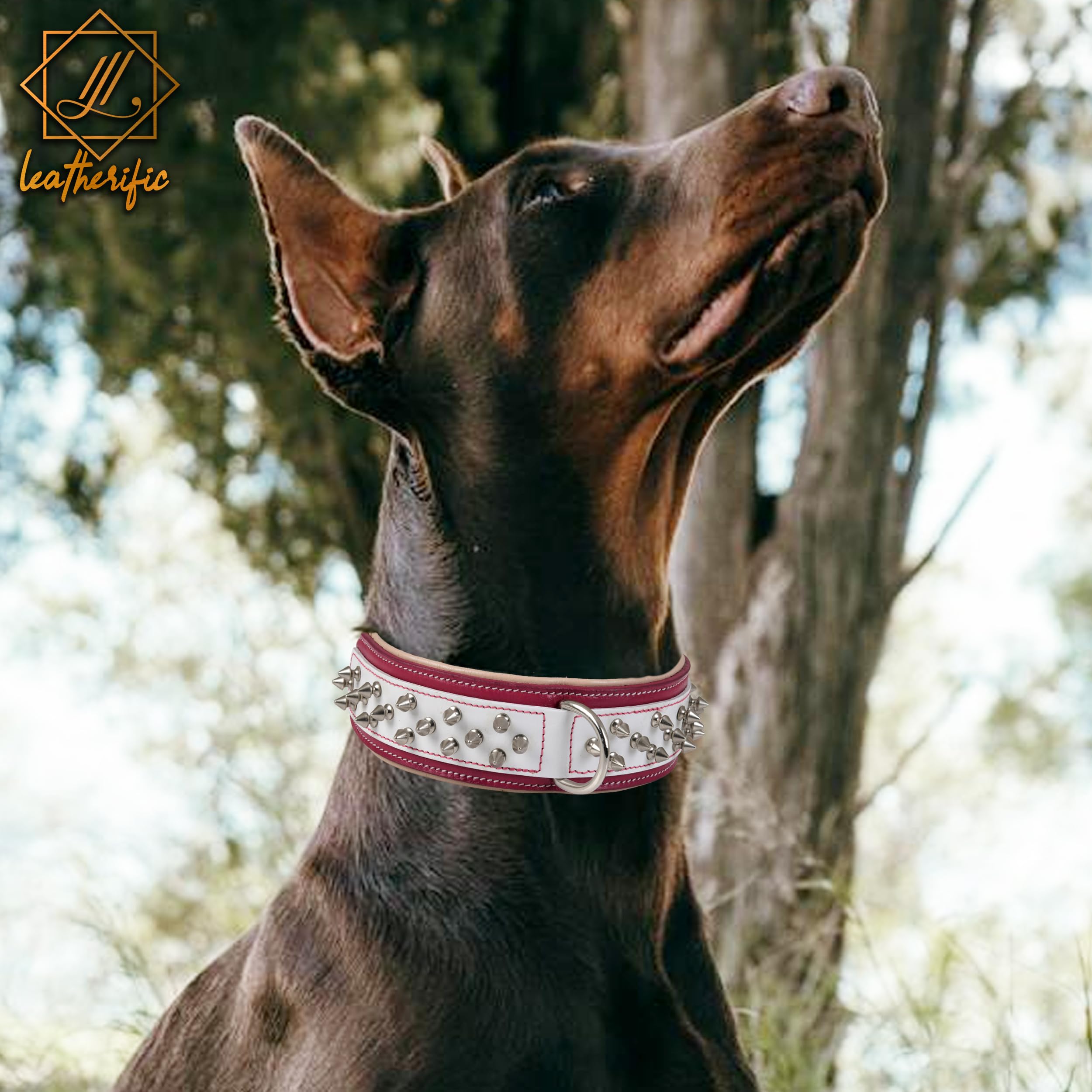 Collar Spike Leatherific interior acolchado para mayor comodidad