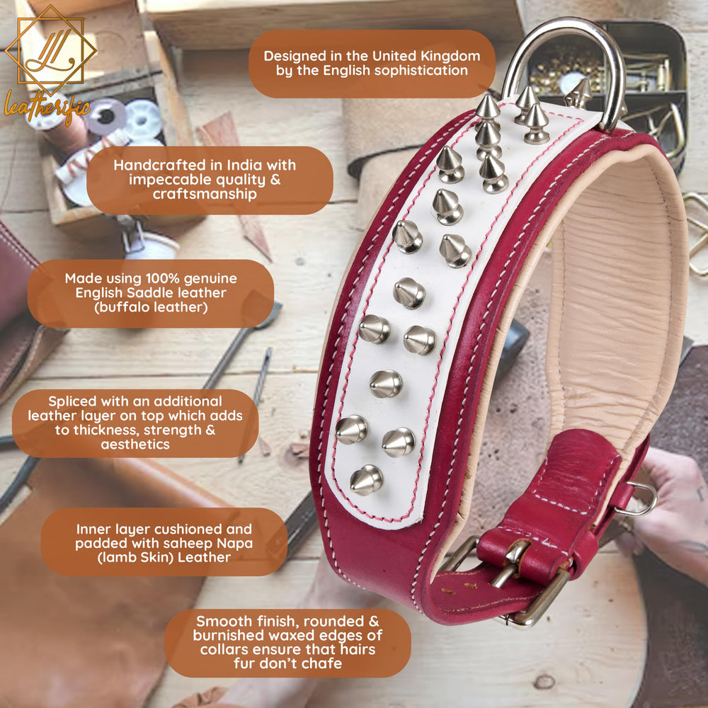 Collar Spike Leatherific para paseos diarios sin irritación