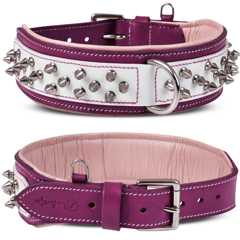 Collar Spike Leatherific exterior con pinchos para perros activos