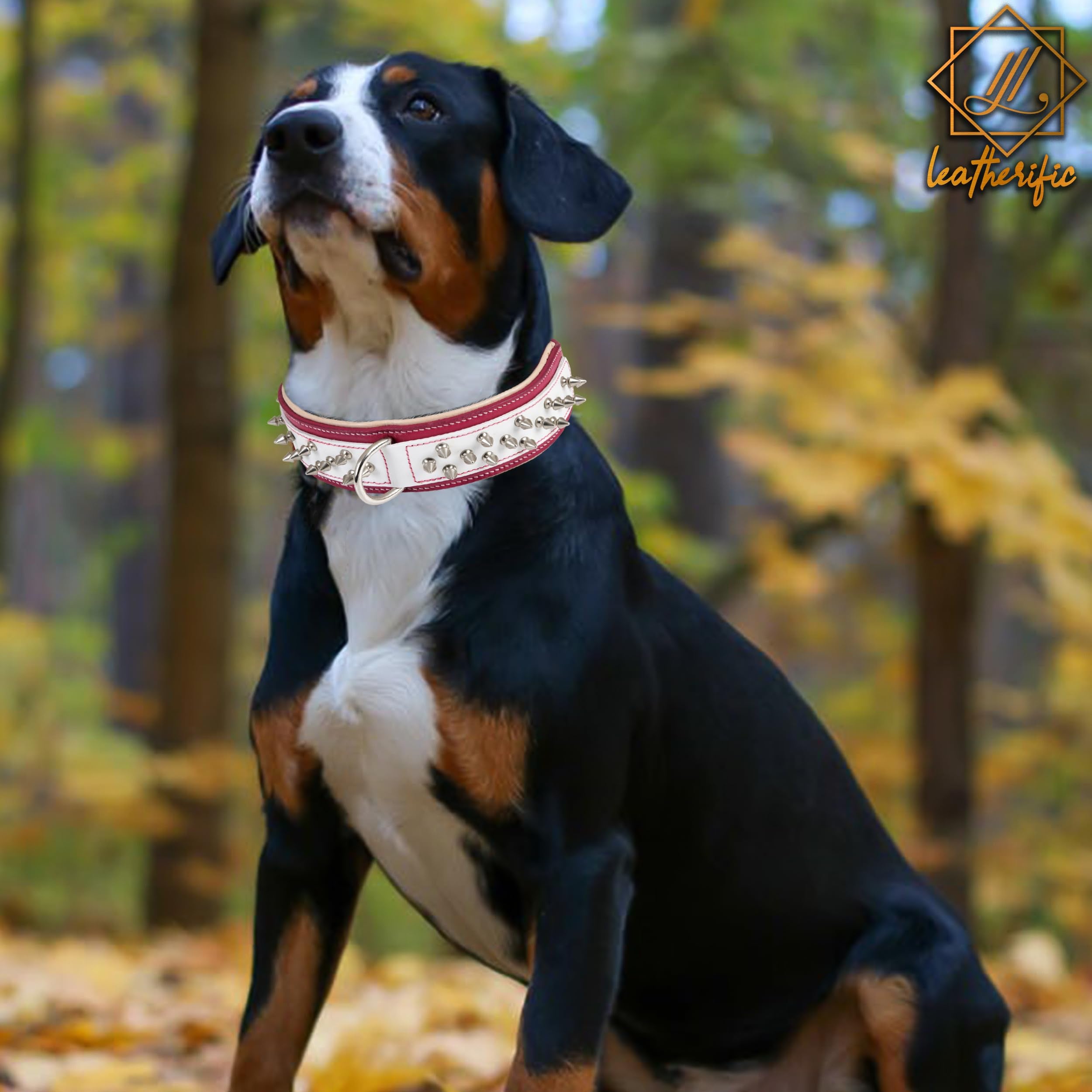 Collar Spike Leatherific regalo ideal para amantes de perros