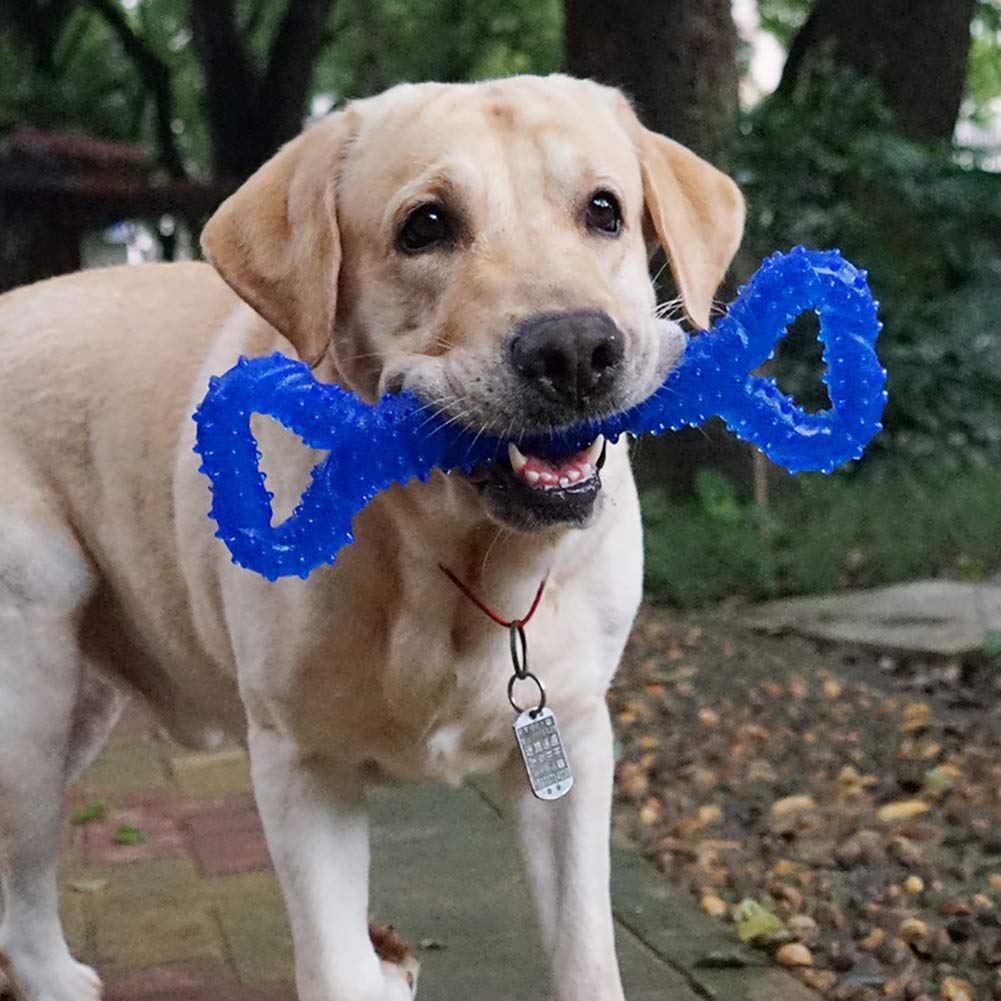 LECHONG juguete para perros medianos y grandes, resistente a mordidas.