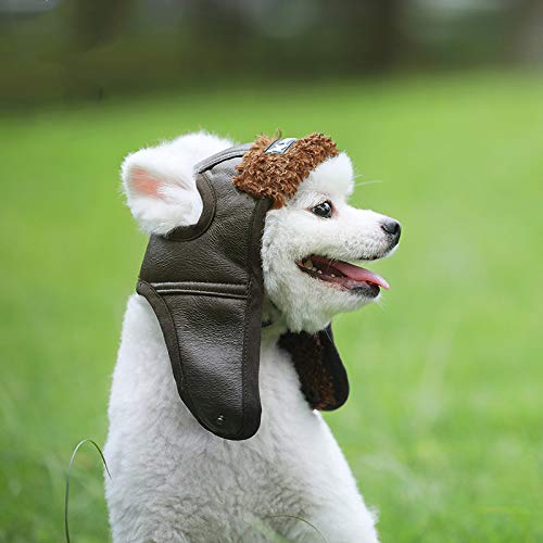 Gorra avión Leconpet para perro diseño vintage: estilo clásico y protección contra el viento.