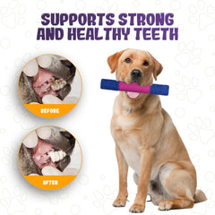 Lee Bonbon Juguete para fetch, durable para juegos al aire libre