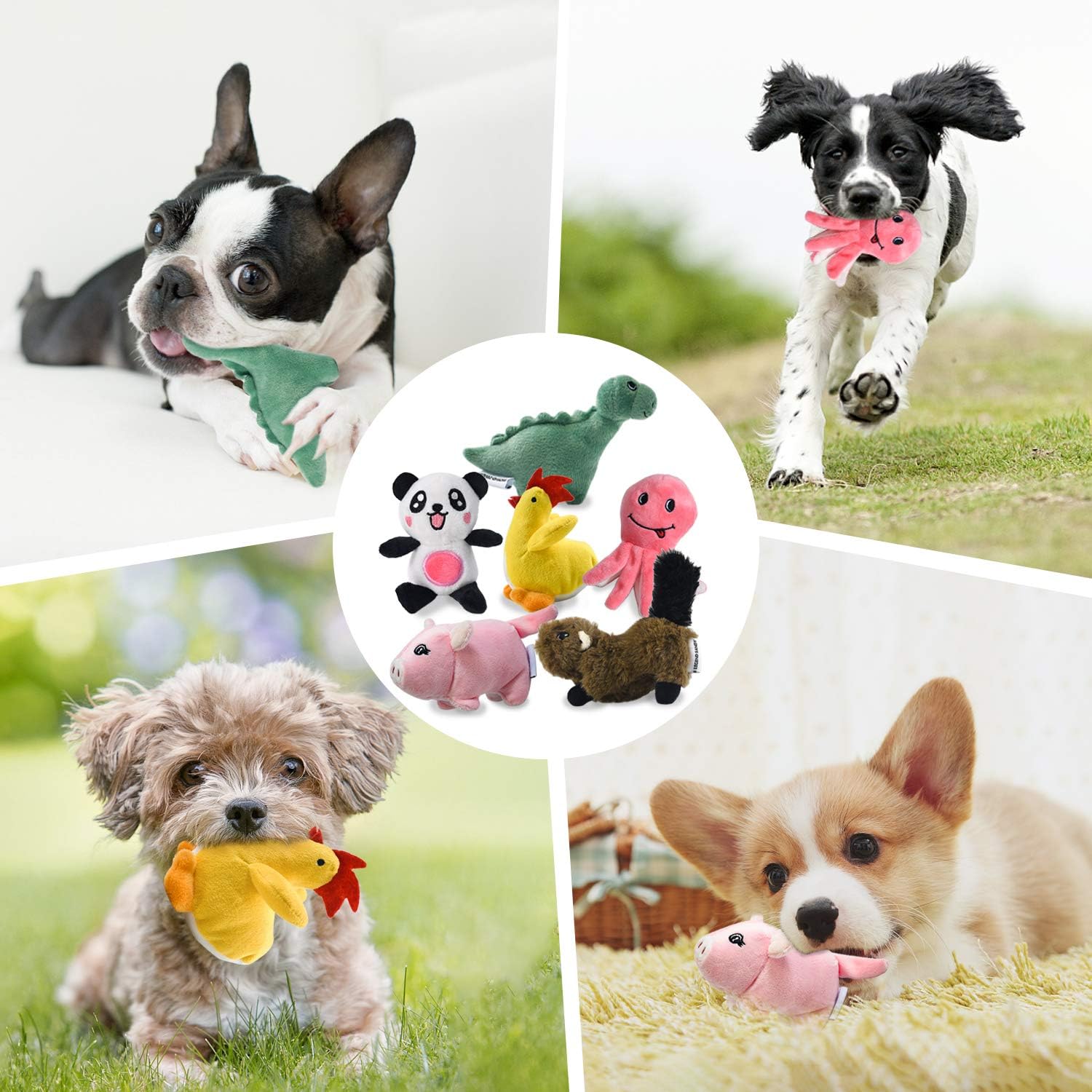 LEGEND SANDY peluche ardilla para perros pequeños, masticación suave.