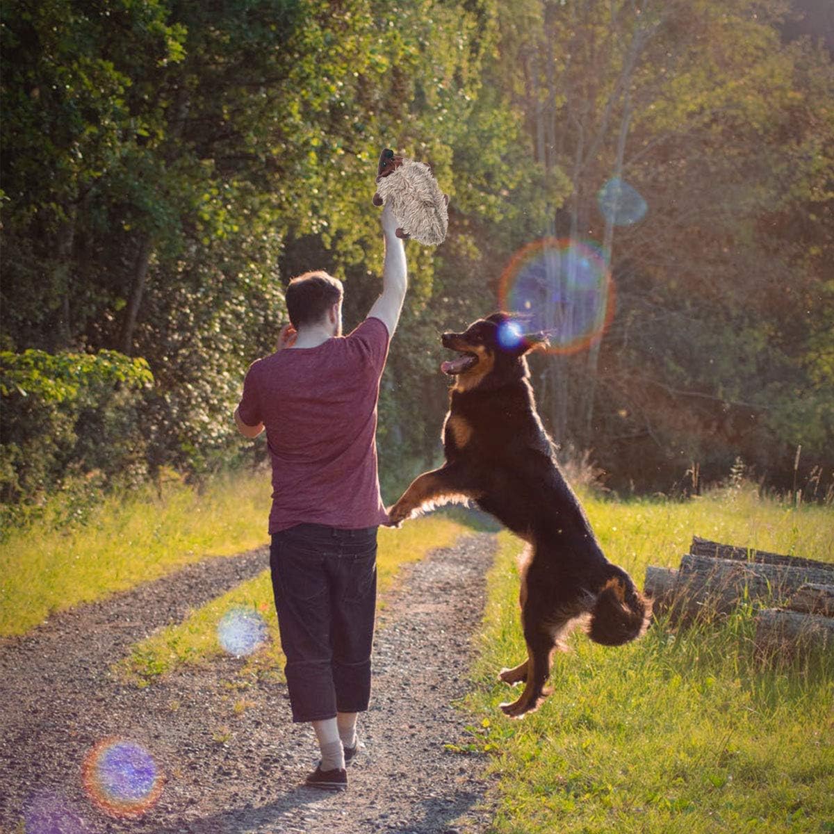 Conjunto LEGEND SANDY de juguetes para cachorros para juego diario y socialización.