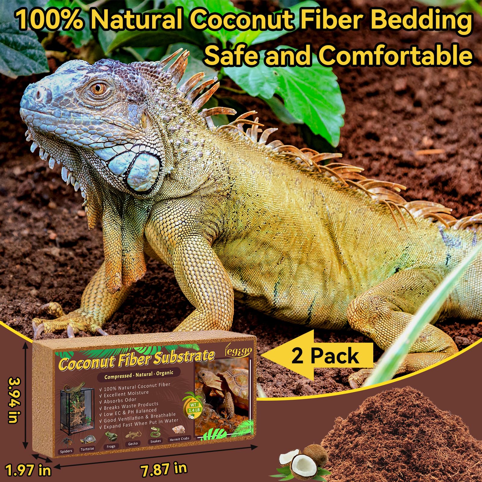 Legigo: sustrato de coco expandido en terrario para comodidad y humedad estable.