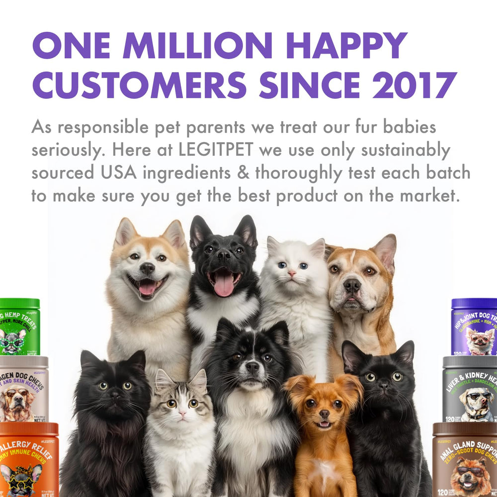 LEGITPET colágeno líquido, ideal para mascotas mayores y activas