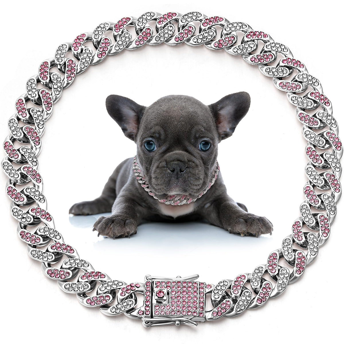 Collar Leifide de cadena para perro con diamantes, ideal para paseos con estilo.