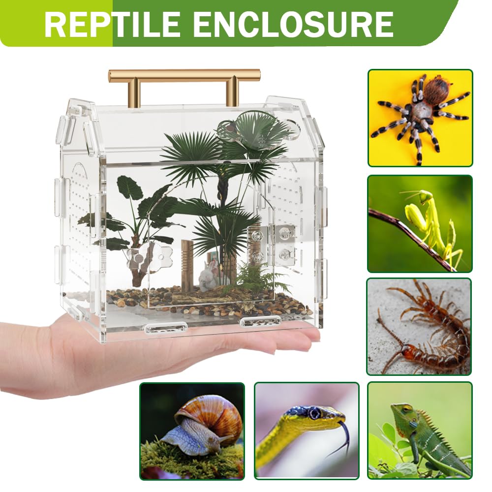 LEIZHENZI hábitat multiusos: ideal para arañas, escorpiones y geckos.