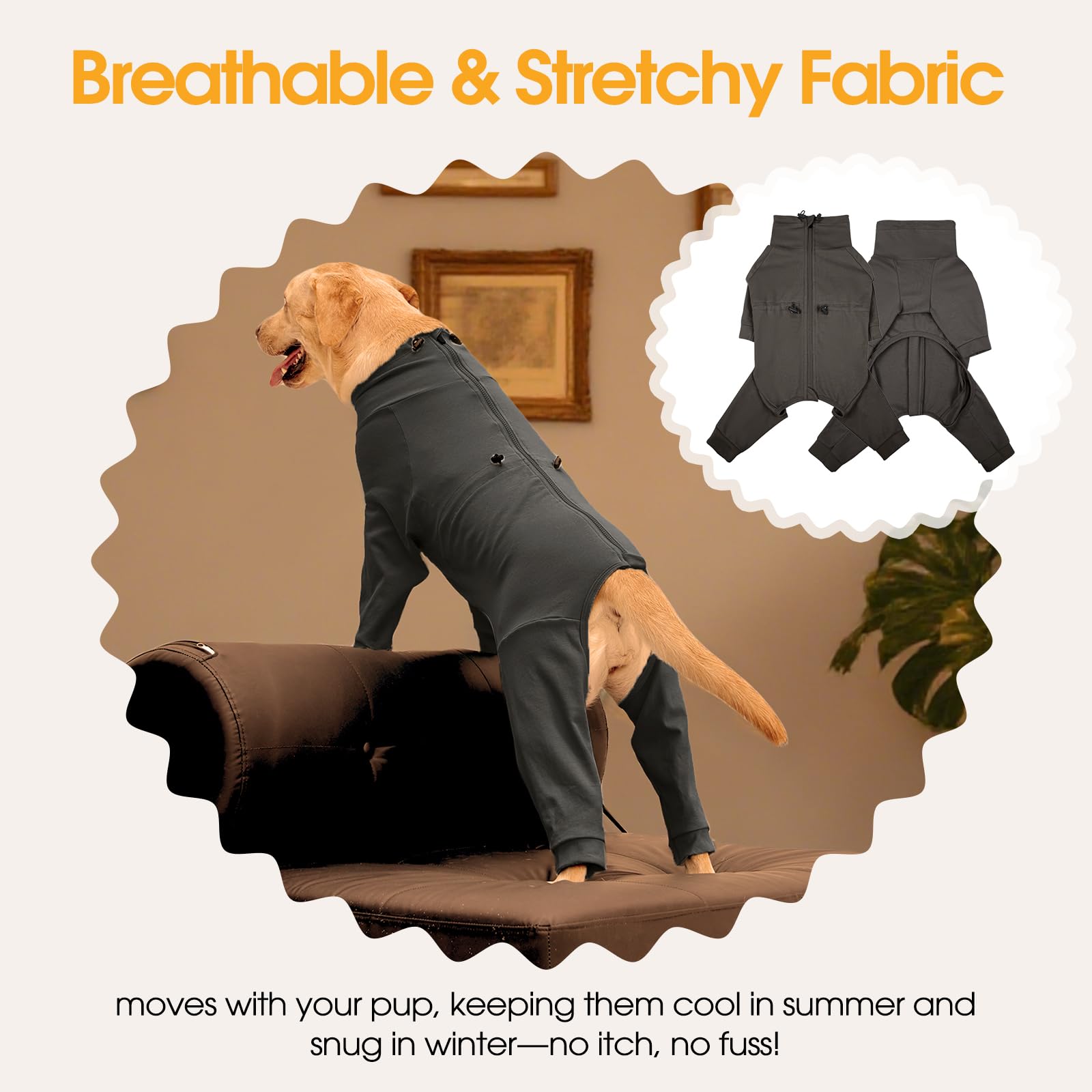 LeleTail traje de recuperación disponible en tallas pequeñas y medianas para perros.