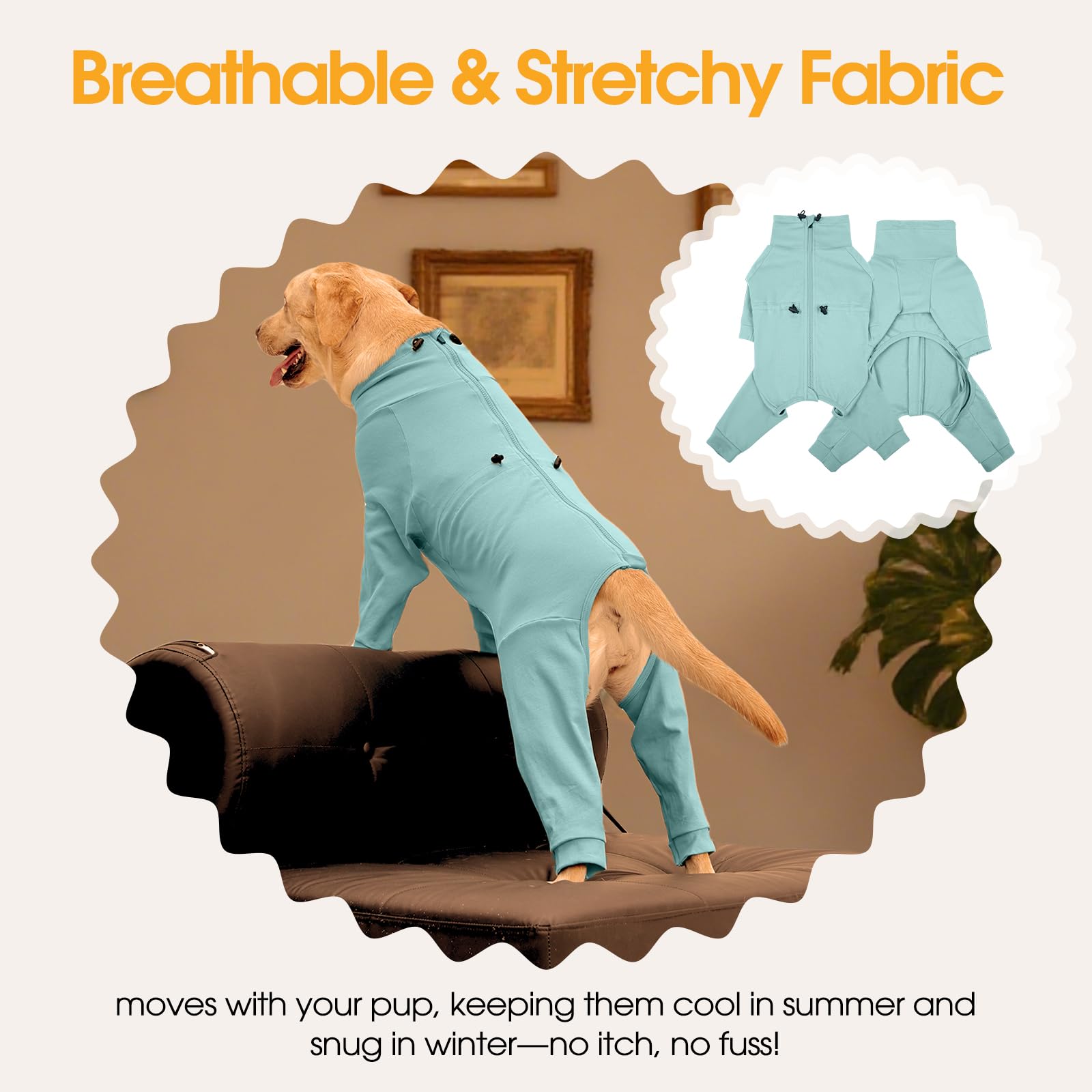 LeleTail: sudadera de algodón y spandex con tacto suave para mascotas.