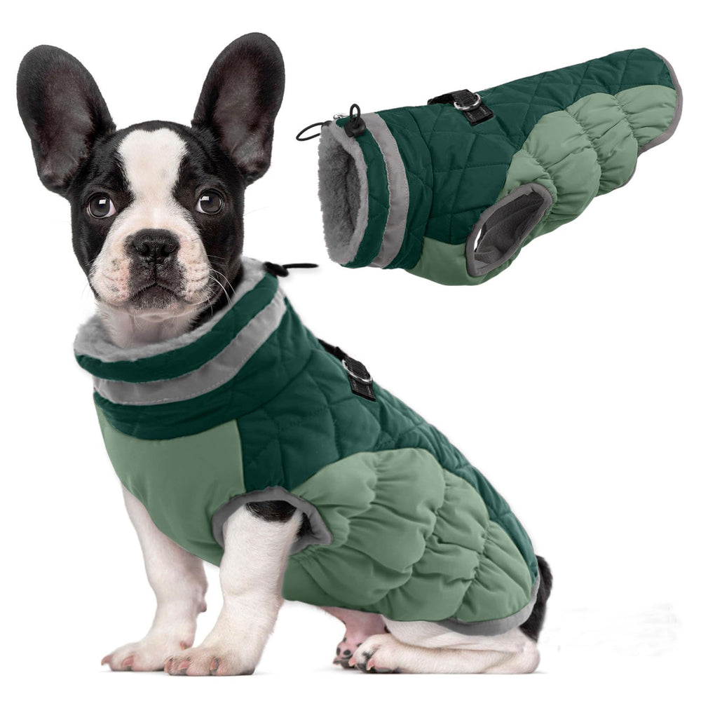 LeLePet capa de invierno para perro en turquesa mantiene caliente a tu mascota.