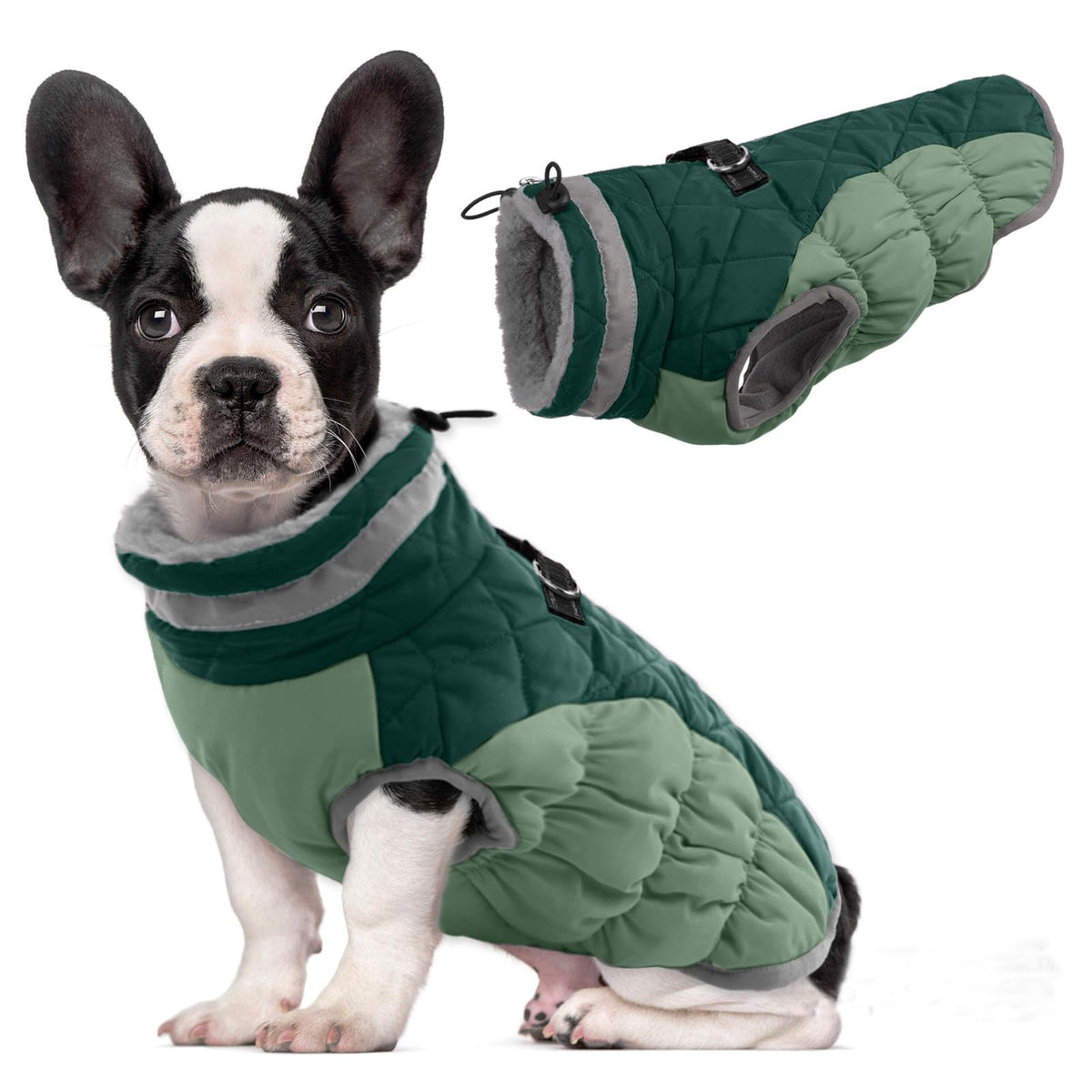LeLePet capa de invierno para perro en turquesa mantiene caliente a tu mascota.