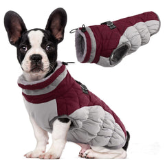 LeLePet abrigo impermeable para perros ideal para paseos fríos