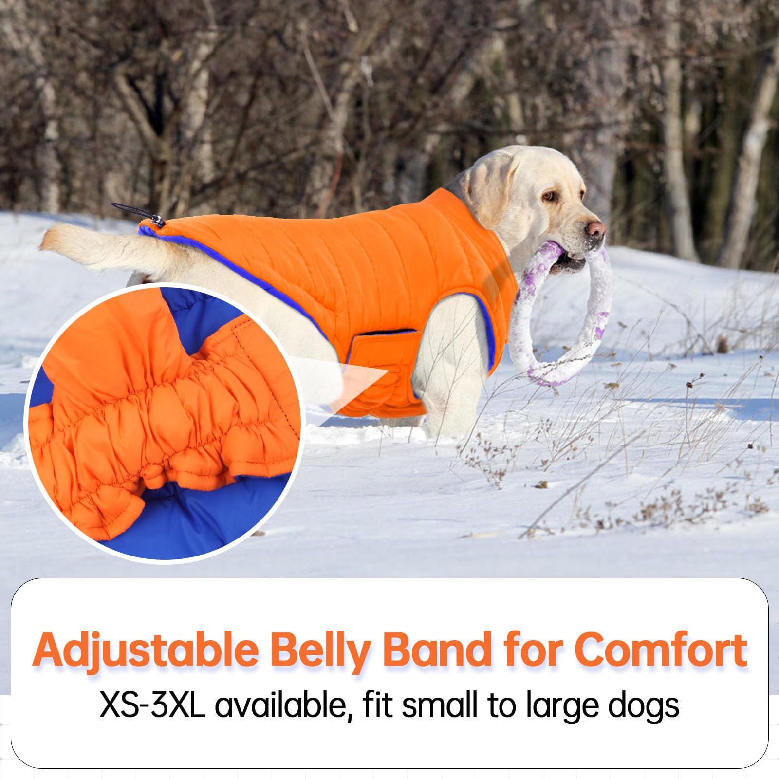 LeLePet prenda acolchada para perros, diseño ultraligero que no molesta durante el paseo.