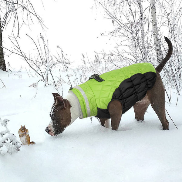 LeLePet abrigo para perros grandes en color lima, visible y cálido.