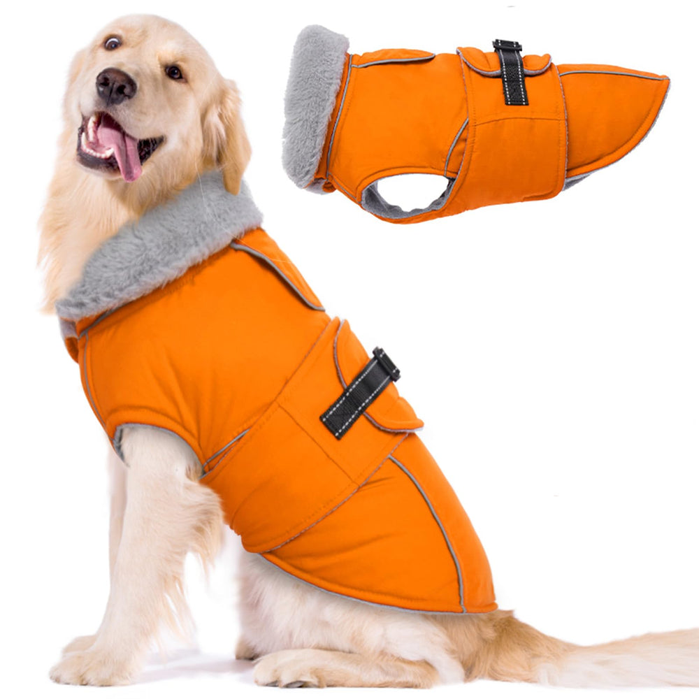 LeLePet abrigo perro impermeable reflectante para paseos nocturnos y lluvia.