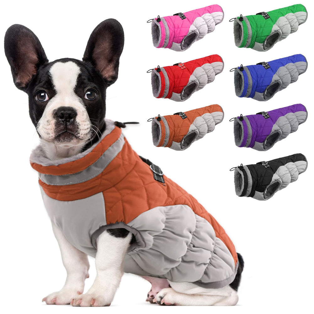 LeLePet abrigo para perro inviernos impermeable mantiene seco y cómodo en paseos